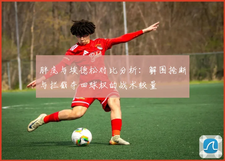胖虎与埃德松对比分析：解围抢断与拦截夺回球权的战术较量